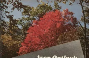 avon_outlook_20110306_1954_0338.jpg