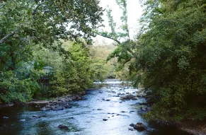 brandywine.jpg