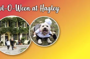 event-howl-o-ween.jpg