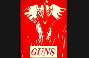 guns2.JPG