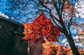 hagley-2018-11-03-fall-photo-shoot (John Vari)-067-web860.jpg