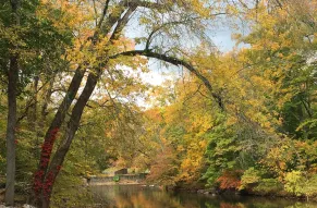 hagley-branndywine-foliage-2015-10-14-m2-print.jpg