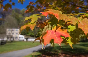 hagley-fall-property-shoot-006-print.jpg