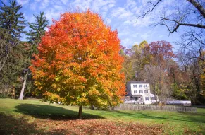 hagley-fall-property-shoot-068-print.jpg
