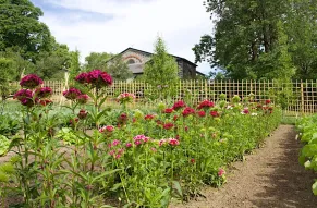 hagley-garden-2019-05-22-(albright)-011-web860.jpg