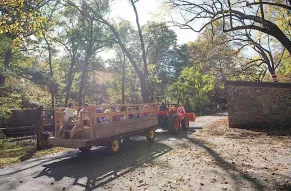hagley-hayrides-2014-022-web860.jpg