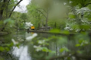 hagley-lower-property-spring-044-print.jpg