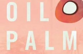 oil palm.jpeg